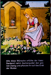 202_07_defa