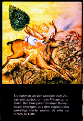 236_defa_22
