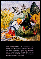 236_defa_25