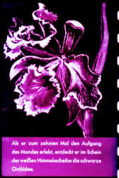 238_15_defa