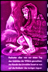 238_20_defa