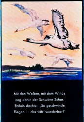 259_17_defa