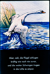 259_21_defa
