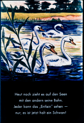 259_24_defa